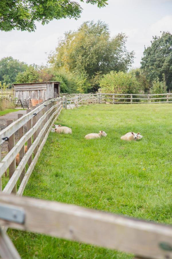 Smallbrook Cottage ブロードウェイ エクステリア 写真